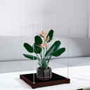 Acrylic Display Case for Lego 10289 Bird of Paradise Bonsai Dustproof Box Storage Box Transparent Box Display Box Compatible with Lego 10289Only Case No Model Option 2 3MM