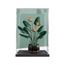 Transparent acrylic display box for Lego 10289 Bird of Paradise Bonsai Bonsai Bouquet model collection dustproof display box display box only 3mm